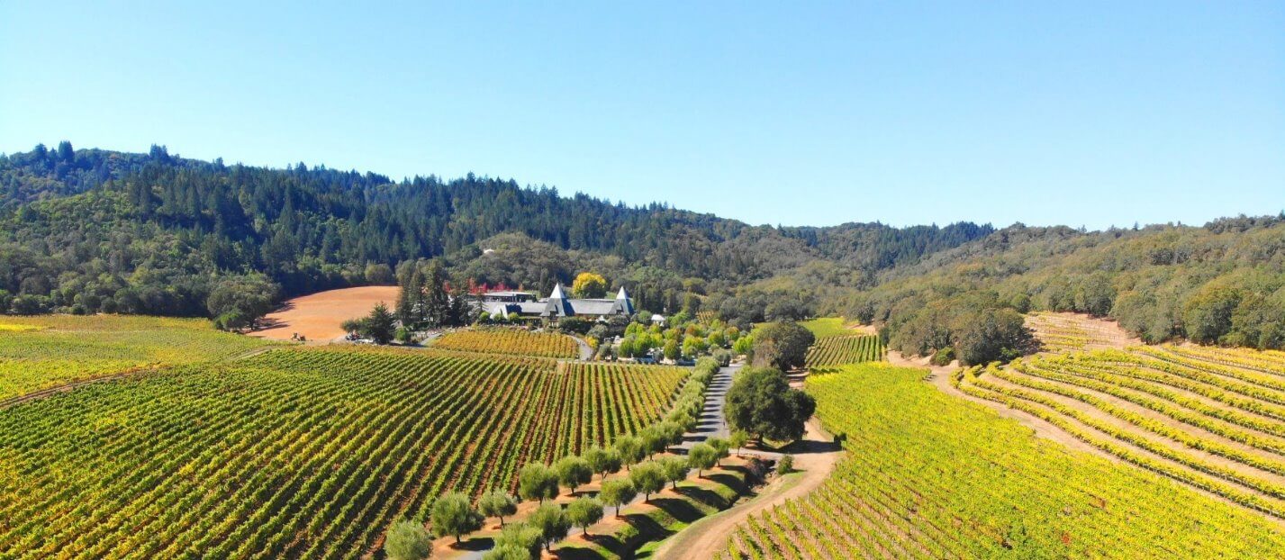 -Things-to-See-in-the-Russian-River-Valley-Wine-County (2).jpg